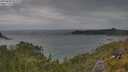 ./images/calvert/foggy-cove/20250628/foggy-cove20250628_153510M.jpg