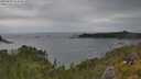 ./images/calvert/foggy-cove/20250628/foggy-cove20250628_154010M.jpg