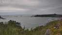 ./images/calvert/foggy-cove/20250628/foggy-cove20250628_155509M.jpg
