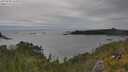 ./images/calvert/foggy-cove/20250628/foggy-cove20250628_161009M.jpg