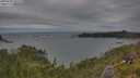 ./images/calvert/foggy-cove/20250628/foggy-cove20250628_161510M.jpg