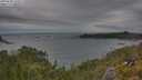 ./images/calvert/foggy-cove/20250628/foggy-cove20250628_162011M.jpg