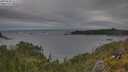 ./images/calvert/foggy-cove/20250628/foggy-cove20250628_162510M.jpg