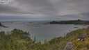 ./images/calvert/foggy-cove/20250628/foggy-cove20250628_163509M.jpg