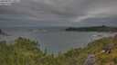 ./images/calvert/foggy-cove/20250628/foggy-cove20250628_170011M.jpg