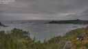 ./images/calvert/foggy-cove/20250628/foggy-cove20250628_172509M.jpg