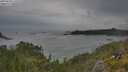 ./images/calvert/foggy-cove/20250628/foggy-cove20250628_175510M.jpg