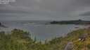 ./images/calvert/foggy-cove/20250628/foggy-cove20250628_180509M.jpg