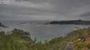 ./images/calvert/foggy-cove/20250628/foggy-cove20250628_181010M.jpg