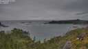 ./images/calvert/foggy-cove/20250628/foggy-cove20250628_185011M.jpg