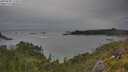 ./images/calvert/foggy-cove/20250628/foggy-cove20250628_191008M.jpg