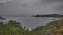 ./images/calvert/foggy-cove/20250628/foggy-cove20250628_200509M.jpg