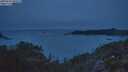 ./images/calvert/foggy-cove/20250629/foggy-cove20250629_045009M.jpg