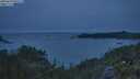 ./images/calvert/foggy-cove/20250629/foggy-cove20250629_045508M.jpg