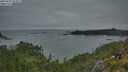 ./images/calvert/foggy-cove/20250629/foggy-cove20250629_053008M.jpg