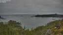 ./images/calvert/foggy-cove/20250629/foggy-cove20250629_053508M.jpg