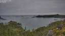 ./images/calvert/foggy-cove/20250629/foggy-cove20250629_060011M.jpg