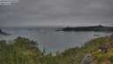 ./images/calvert/foggy-cove/20250629/foggy-cove20250629_060510M.jpg