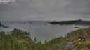 ./images/calvert/foggy-cove/20250629/foggy-cove20250629_063510M.jpg