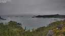 ./images/calvert/foggy-cove/20250629/foggy-cove20250629_064510M.jpg