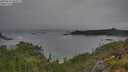 ./images/calvert/foggy-cove/20250629/foggy-cove20250629_065009M.jpg