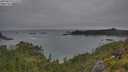 ./images/calvert/foggy-cove/20250629/foggy-cove20250629_071510M.jpg