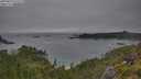 ./images/calvert/foggy-cove/20250629/foggy-cove20250629_072509M.jpg