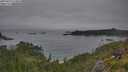 ./images/calvert/foggy-cove/20250629/foggy-cove20250629_073010M.jpg