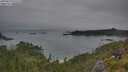 ./images/calvert/foggy-cove/20250629/foggy-cove20250629_073508M.jpg