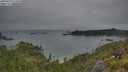 ./images/calvert/foggy-cove/20250629/foggy-cove20250629_074010M.jpg
