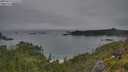 ./images/calvert/foggy-cove/20250629/foggy-cove20250629_074508M.jpg