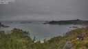 ./images/calvert/foggy-cove/20250629/foggy-cove20250629_075009M.jpg