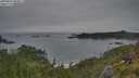 ./images/calvert/foggy-cove/20250629/foggy-cove20250629_080011M.jpg