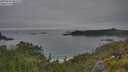 ./images/calvert/foggy-cove/20250629/foggy-cove20250629_081010M.jpg