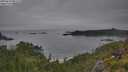 ./images/calvert/foggy-cove/20250629/foggy-cove20250629_081510M.jpg