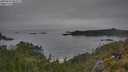 ./images/calvert/foggy-cove/20250629/foggy-cove20250629_082011M.jpg