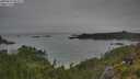 ./images/calvert/foggy-cove/20250629/foggy-cove20250629_082509M.jpg