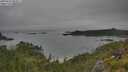 ./images/calvert/foggy-cove/20250629/foggy-cove20250629_083011M.jpg