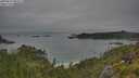 ./images/calvert/foggy-cove/20250629/foggy-cove20250629_083509M.jpg