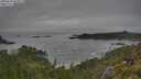 ./images/calvert/foggy-cove/20250629/foggy-cove20250629_084009M.jpg