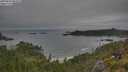 ./images/calvert/foggy-cove/20250629/foggy-cove20250629_084510M.jpg