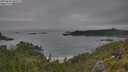 ./images/calvert/foggy-cove/20250629/foggy-cove20250629_085509M.jpg