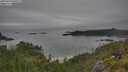 ./images/calvert/foggy-cove/20250629/foggy-cove20250629_090509M.jpg