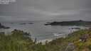 ./images/calvert/foggy-cove/20250629/foggy-cove20250629_091511M.jpg
