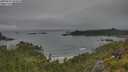 ./images/calvert/foggy-cove/20250629/foggy-cove20250629_094010M.jpg