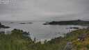 ./images/calvert/foggy-cove/20250629/foggy-cove20250629_094510M.jpg