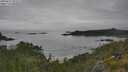 ./images/calvert/foggy-cove/20250629/foggy-cove20250629_095009M.jpg