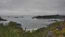 ./images/calvert/foggy-cove/20250629/foggy-cove20250629_095508M.jpg