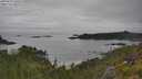 ./images/calvert/foggy-cove/20250629/foggy-cove20250629_100509M.jpg