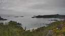 ./images/calvert/foggy-cove/20250629/foggy-cove20250629_101010M.jpg